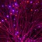 Halloween String Lights, 66FT 200 LED Connectable Black Wire 8 Modes String Lights, Waterproof Christmas Decorations for Indoor Outdoor Patio Party Holiday, Purple & Orange & Organizer Storage Tote Bag